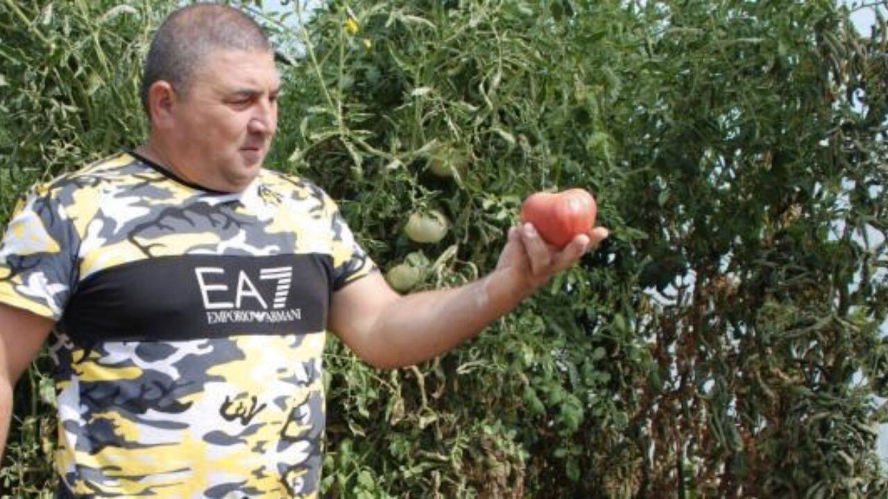 un fermier cu o rosie in mana