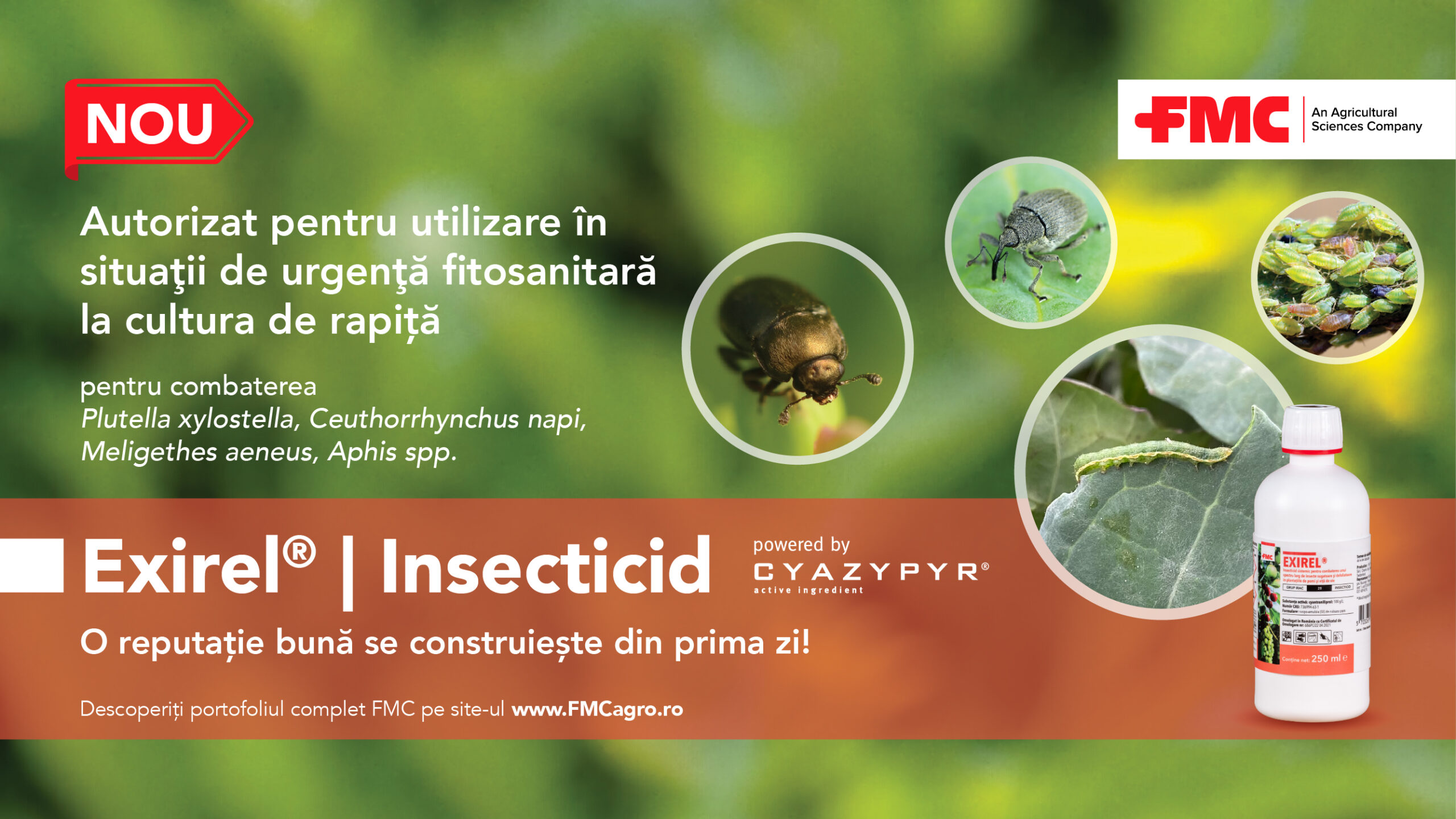 Insecticid Exirel